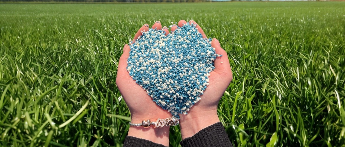 Premium Dünger & Saat