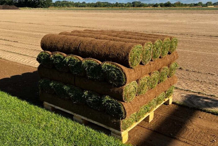 Palette mit frischen Rollrasen, bereit zur Verlegung im Garten