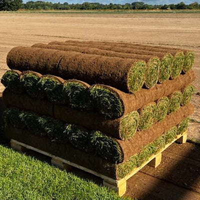 Palette mit frischen Rollrasen, bereit zur Verlegung im Garten
