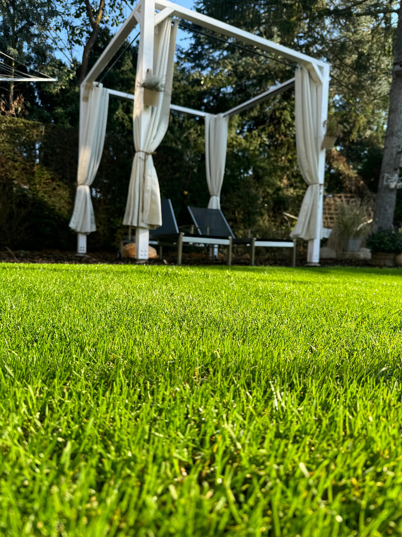 Rasenfläche in einem Garten