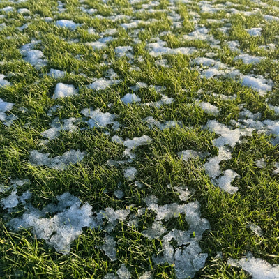 Winter Rasen - Winterrasendünger