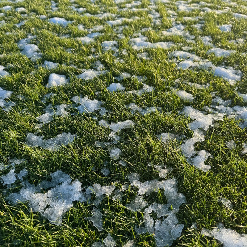 Winter Rasen - Winterrasendünger