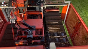 Rollrasen Premium Sport