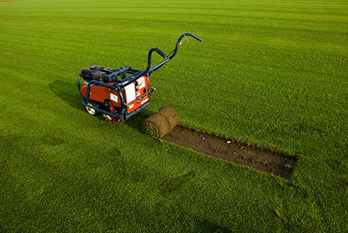 Alt Rasen abschälen