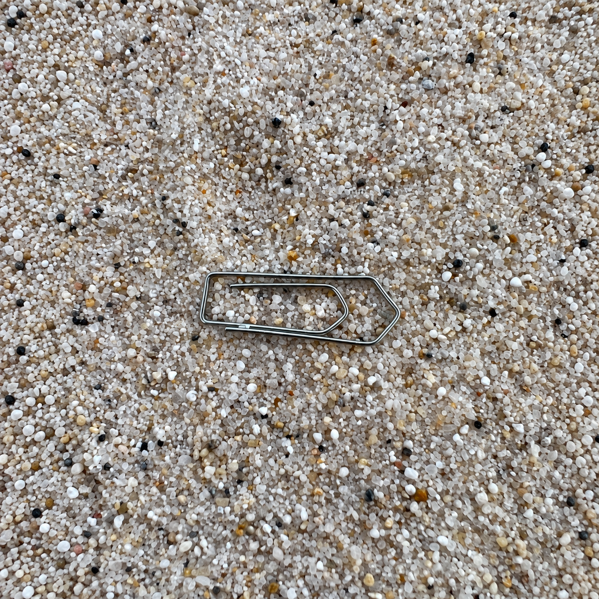 Rasensand 0,4–1,4 mm – Detailaufnahme mit Büroklammer