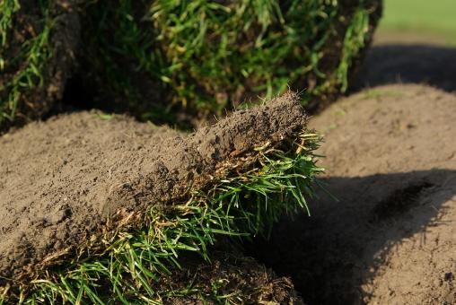 Rollrasen Premium Sport