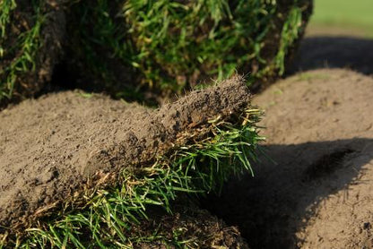 Rollrasen Premium Sport