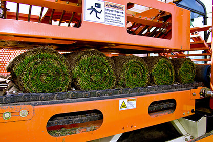 Rollrasen Premium Sport